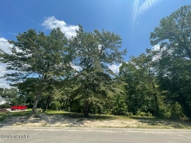Beach Lot For Sale in Leland, North Carolina