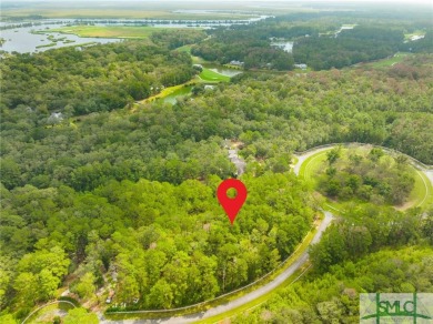 Beach Acreage For Sale in Richmond Hill, Georgia