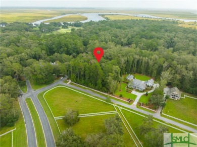 Beach Acreage For Sale in Richmond Hill, Georgia