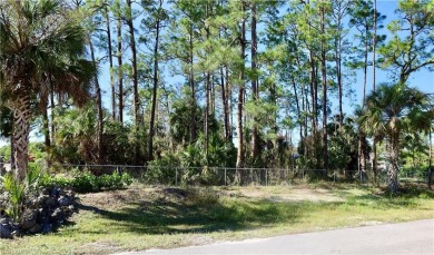 Beach Lot For Sale in Naples, Florida