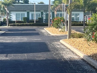 Beach Home For Sale in St. Petersburg, Florida