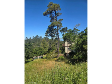 Beach Lot Active Under Contract in Cambria, California