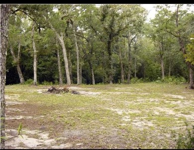 Beach Lot For Sale in Freeport, Florida