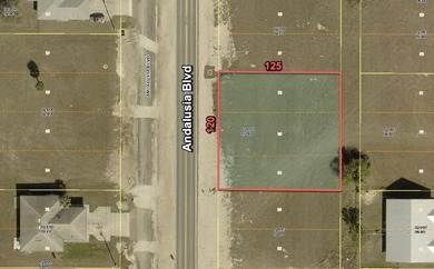 Beach Lot For Sale in Cape Coral, Florida