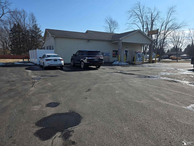 Beach Commercial For Sale in La Salle, Michigan