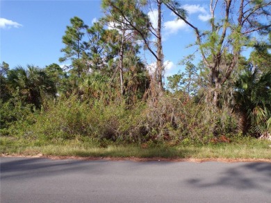 Beach Lot For Sale in Port Charlotte, Florida