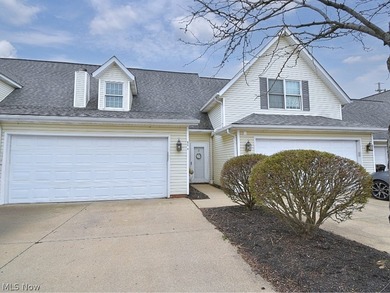 Beach Condo For Sale in Fairport Harbor, Ohio