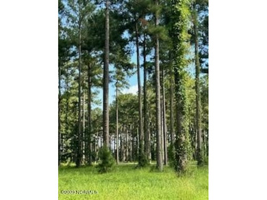 Beach Lot For Sale in Oriental, North Carolina