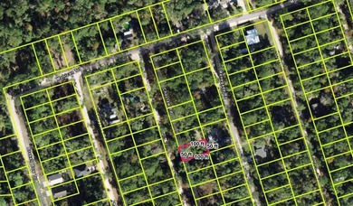 Beach Acreage For Sale in Crawfordville, Florida