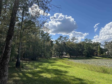 Beach Acreage For Sale in Tallahassee, Florida