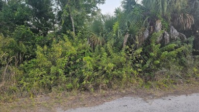 Beach Lot Sale Pending in Punta Gorda, Florida