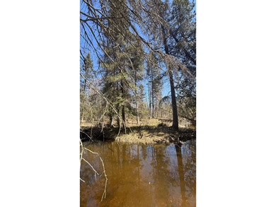 Beach Lot For Sale in Cedarville, Michigan