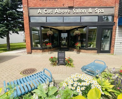 Beach Commercial For Sale in Sault Sainte Marie, Michigan