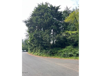Beach Lot For Sale in Waldport, Oregon